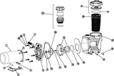 Waterway Tune Up Kit for Power Defender, Mustang, Champion, & SMF Pumps - 100-7710