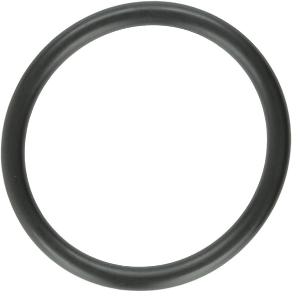 Aladdin Large Piston & Bulkhead O-Ring - O-180-0