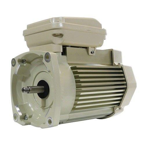 Pentair .75 H.P. Single Speed TEFC Replacement Motor (115/208-230V; 56 Frame) - 354803S