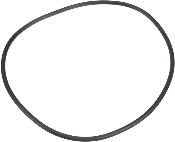 Pentair Seal Plate O-Ring - U9-228AZ