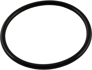 Waterway O-Ring (2 Required) - 805-0339B
