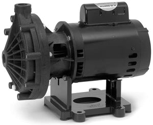 Pentair 0.75 H.P. Universal Booster Pump (115/230V) - EC-LA01N